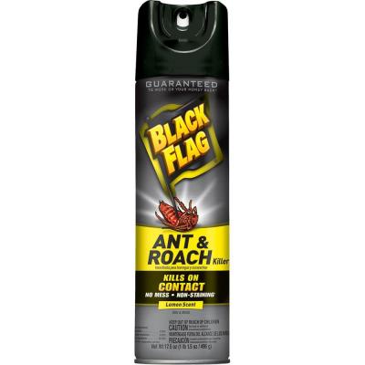 BLACK FLAG 12/17.5OZANT & ROACH KILLER LEMON
