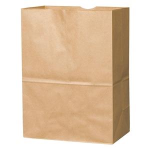 PAPER BAGS #1/8-57(10 1/8